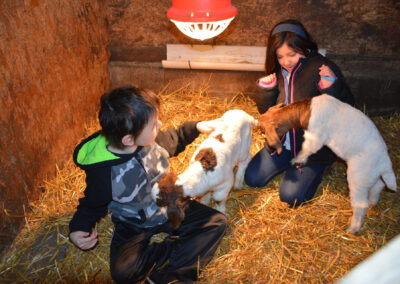 Baby Goats in Pajamas